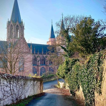 Schoenster Blick Auf Oppenheim! Eksteriør billede